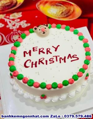 Bánh Kem Noel Giáng Sinh 20